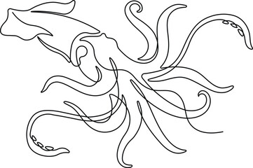 Squid in continuous line art drawing style. Animal minimalist black linear sketch isolated on white background. Vector illustration