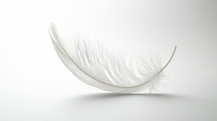 Graceful Feather Floating in Air