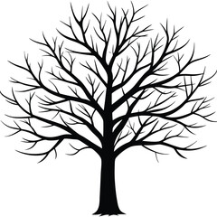 Obraz premium Silhouette Bare Tree Illustration, Abstract Branches, Autumn, Winter, Black, White