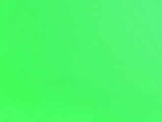 Fototapeta premium Solid Lime Green Background. (1)