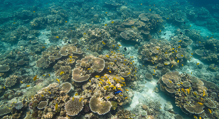Fototapeta premium Vibrant Underwater Coral Reef Scene with Yellow Fish