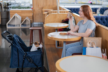 Caucasian woman having lunch in a cafe with her Jack Russell terrier dog in a stroller. 