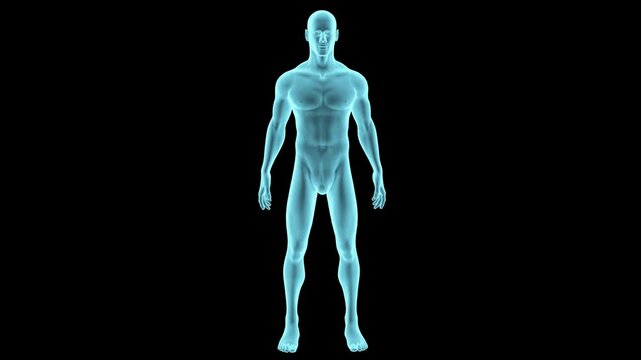 Holographic Human Body on Black Background with Smooth Camera Flow and Alpha Channel