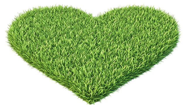 Isolated Heart Shape Green Grass Lawn in Transparent Background