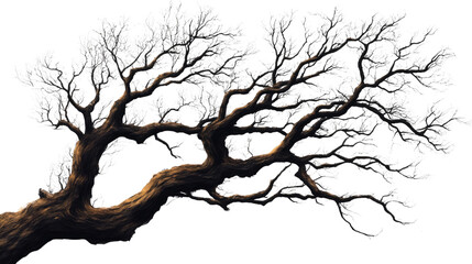 Nature's Sculpt: A skeletal tree reaches across the sky, its branches forming an intricate, artistic display, against a backdrop of boundless space, evoking a sense of timelessness and resilience.