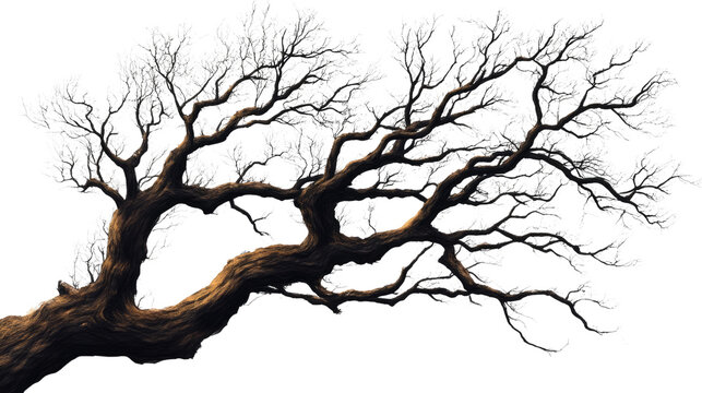 Nature's Sculpt: A skeletal tree reaches across the sky, its branches forming an intricate, artistic display, against a backdrop of boundless space, evoking a sense of timelessness and resilience.