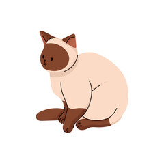 Cute Cat Flat