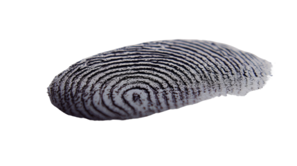 Intricate Fingerprint: A detailed macro shot revealing the unique and complex patterns of a single fingerprint, symbolizing identity, security, and forensic science.