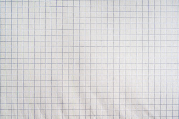 Close-up of a blank sheet of graph paper with evenly spaced blue squares for mathematical diagrams, sketches and notes.
