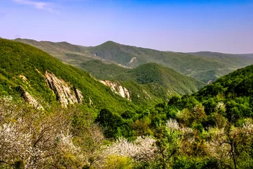 Fototapeten Lila Mountain landscape in the spring  © Omar