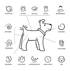 Set of vector icons focuses on dogs parasites and worms. The icons are designed to be versatile, suitable for use in informational materials, veterinary goods, pet care, apps, and more. EPS10.