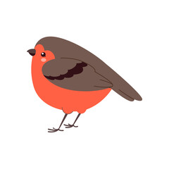 Cute European robin bird with a bright red belly and brown wings. Adorable winter songbird in a simple style. Isolated vector illustration for nature, wildlife, and seasonal designs.