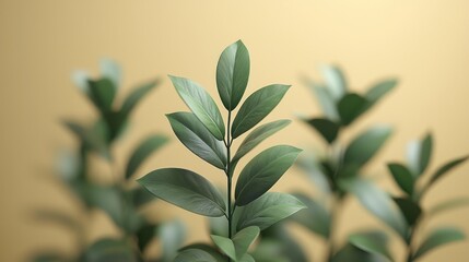 Obraz premium Green leaves on beige backdrop