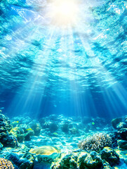 Obraz premium Sunbeams illuminating vibrant coral reef underwater