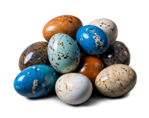 A captivating cluster of petrified avian eggs from an unknown species evokes a sense of mystery and wonder about prehistoric life and natural history exhibits