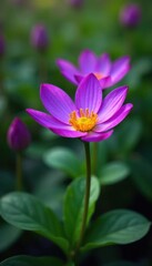 Fototapeta premium Vibrant purple flower petals and leaves in a botanical garden, botany, garden