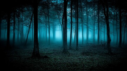Obraz premium Mysterious dark forest scene at night, shrouded in blue mist, tall trees, ground cover.