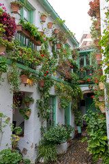 Colourful flower pots decorate the walls of courtyards and patio gardens of Cordoba, Andalusia, southern Spain. 