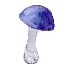 Blue mushroom watercolor illustration. Toxic mushroom with a round cap on a white background.