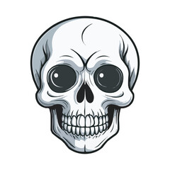 Black and White Skull Illustration. Detailed Line Art. Detailed Black and White Skull Illustration. Vintage human skull concept