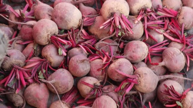 Fresh beetroot (chukandar) displayed at a vegetable market, highlighting its vibrant color and natural freshness. Perfect for healthy eating, organic produce, and local market concepts