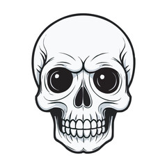 Black and White Skull Illustration. Detailed Line Art. Detailed Black and White Skull Illustration. Vintage human skull concept