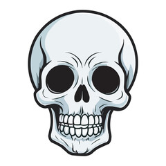 Black and White Skull Illustration. Detailed Line Art. Detailed Black and White Skull Illustration. Vintage human skull concept