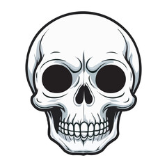 Black and White Skull Illustration. Detailed Line Art. Detailed Black and White Skull Illustration. Vintage human skull concept