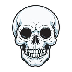 Black and White Skull Illustration. Detailed Line Art. Detailed Black and White Skull Illustration. Vintage human skull concept