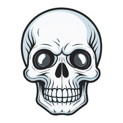 Black and White Skull Illustration. Detailed Line Art. Detailed Black and White Skull Illustration. Vintage human skull concept