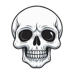 Black and White Skull Illustration. Detailed Line Art. Detailed Black and White Skull Illustration. Vintage human skull concept