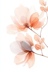 Delicate Floral Bloom with Pastel Petals and Ethereal Botanical Background