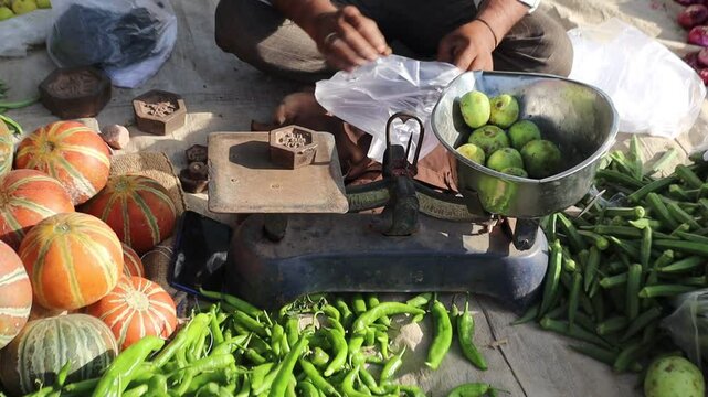 A vegetable seller weighing fresh round gourds (tinda) on a scale at a local market before handing them to a customer. A perfect depiction of traditional vegetable shopping