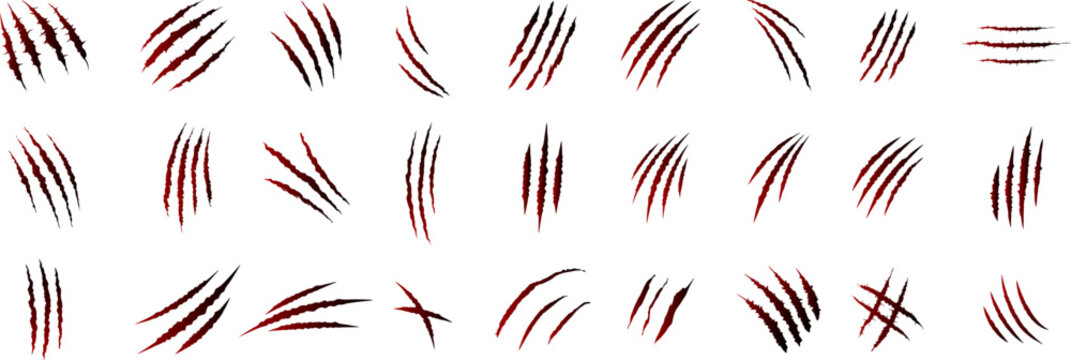 Collection of monster animals Claw marks,  ripped marks scratches.