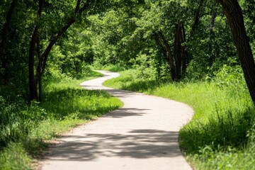 Obraz premium Serene winding pathway through lush green forest on a sunny day.