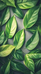 Obraz premium Vibrant Green Tropical Leaves Flatlay Background