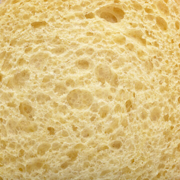 Brioche Bread Bun Texture background