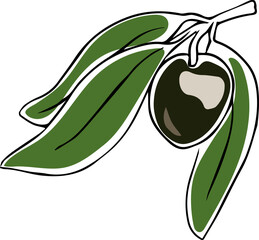 Vector hand drawn doodle of single olive fruit with leaves isolated on white background