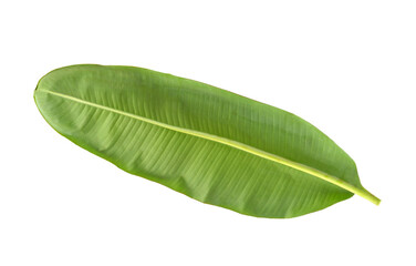 Fototapeta premium banana leaf on transparent png top view
