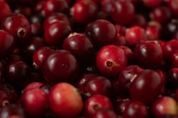 Cranberry. Small forest red berry. A scattering of cranberries. Vitamins from nature