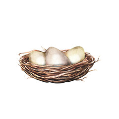 A bird nest with eggs. Spring and Easter symbol. Hand drawn watercolor illustration isolated on white background. For clip art cards invitation label package