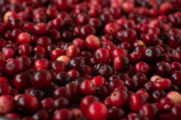 Cranberry. Small forest red berry. A scattering of cranberries. Vitamins from nature