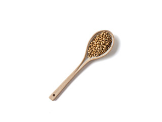Hemp seeds in the spoon on white background.