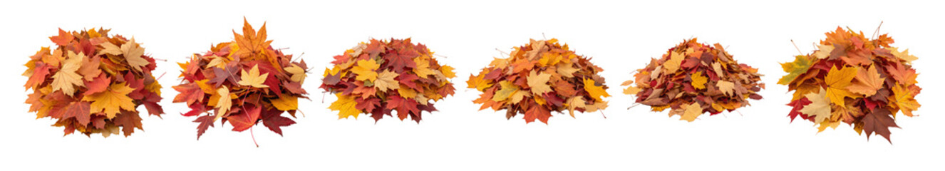 Fototapeta premium set of colorful autumn leaves with vibrant shades of red, orange, and yellow, isolated on white transparent background, PNG cutout for design use