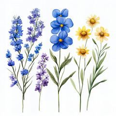 Watercolor Wildflowers In Shades Of Blue And Yellow