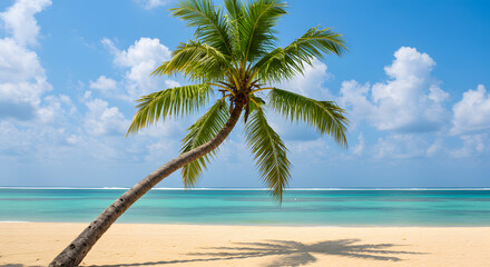 Leaning Palm Tree on Idyllic Tropical Beach, Azure Water, White Sand