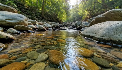 A scenic riverbed with clear water flowing over rocks in a forest.