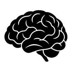 3D Vector Illustration of a Human Brain with Anatomy Details