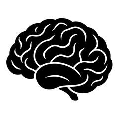 3D Vector Illustration of a Human Brain with Anatomy Details