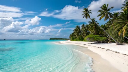 Serene Tropical Beach with Palm Trees and Clear Turquoise Water